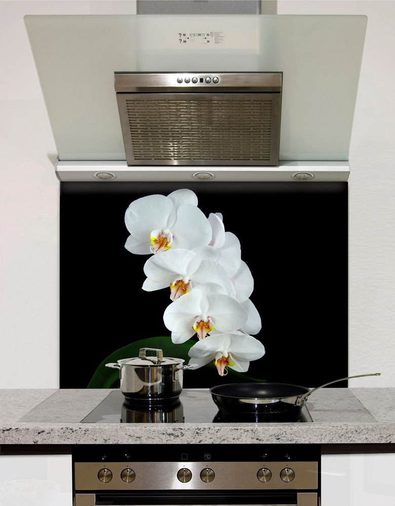 Picture of Delicate orchid Splashback