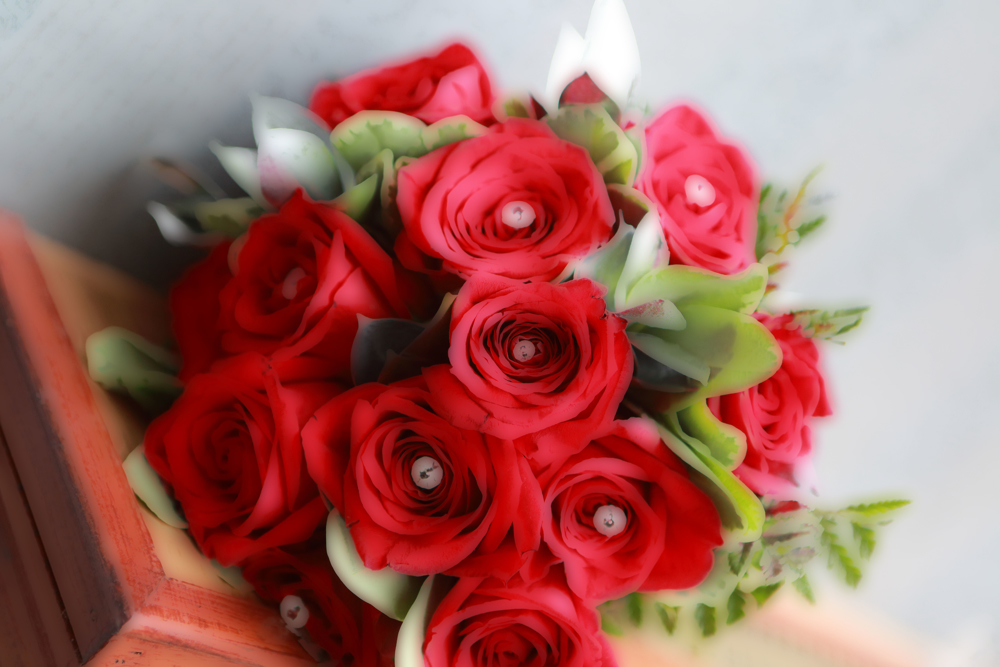 Picture of Red Roses Glass Kitchen Splashback