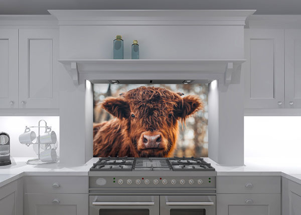 Highland Cow Glass Splashback