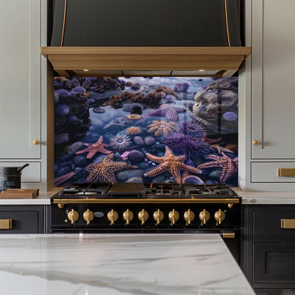 Rock Pools Glass Splashback